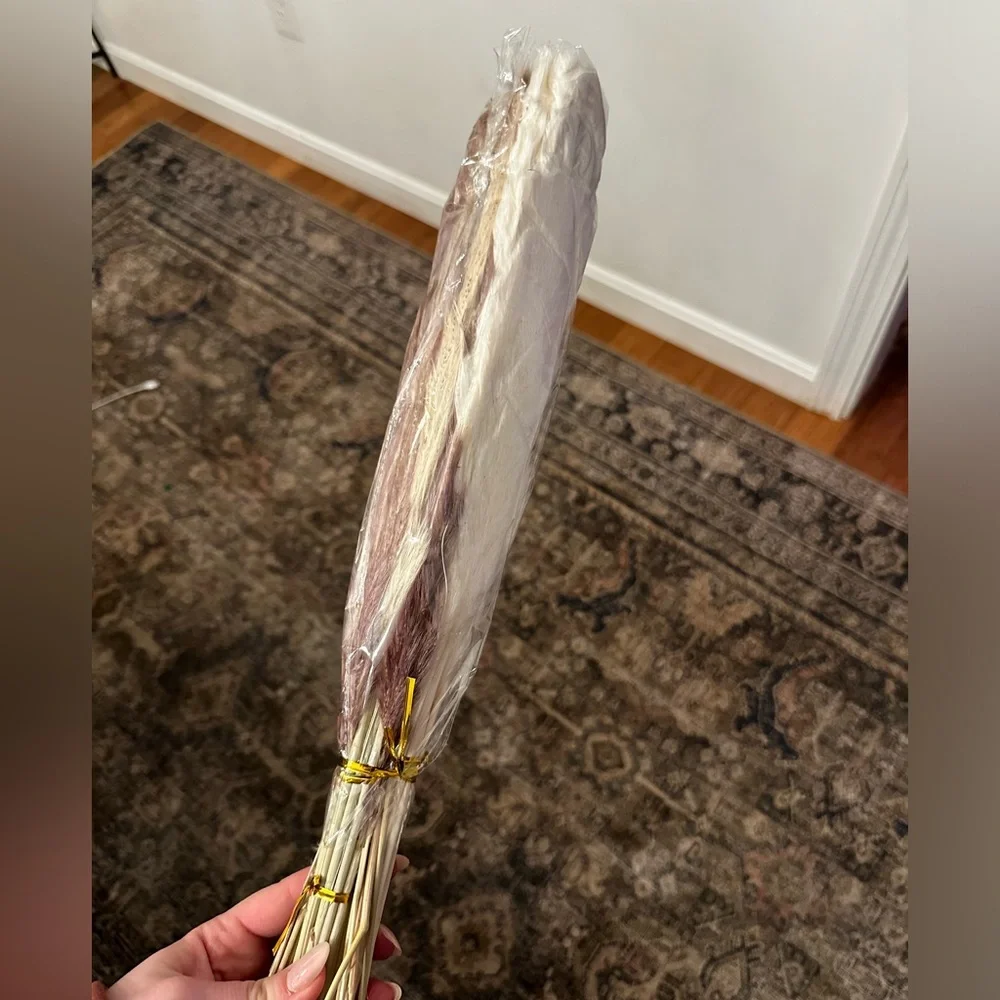 Pampas Grass NIB